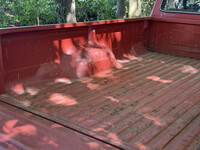 Thumb Image 1