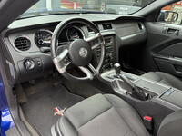 Thumb Image 1
