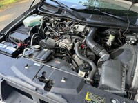 Thumb Image 1
